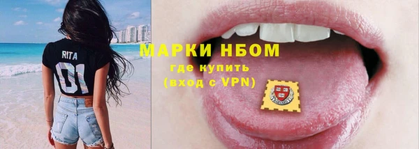 шишки Алзамай