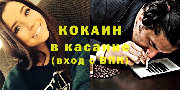 шишки Алзамай