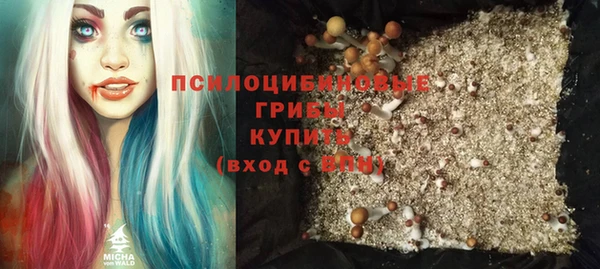сатива Алексеевка