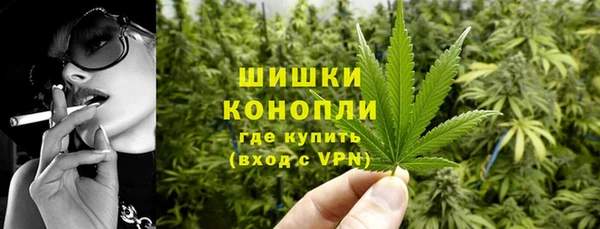 шишки Алзамай
