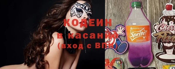шишки Алзамай