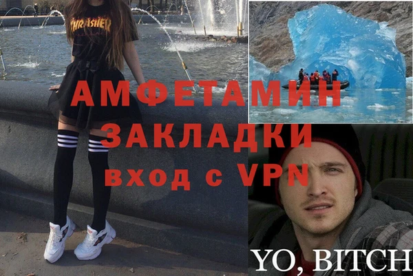 шишки Алзамай