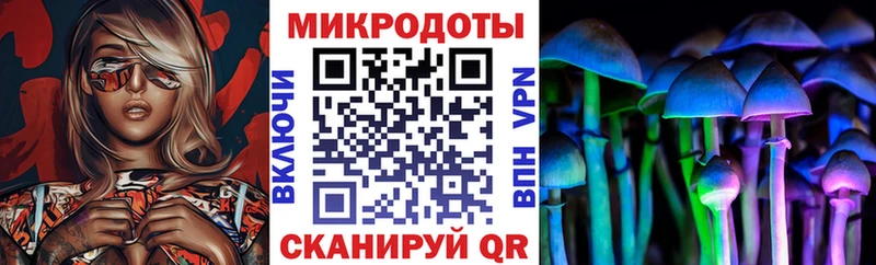 где купить наркоту  Клин  Псилоцибиновые грибы GOLDEN TEACHER 