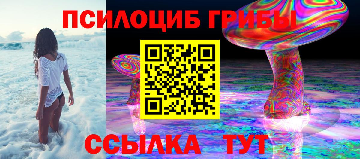 Псилоцибиновые грибы Psilocybine cubensis Клин