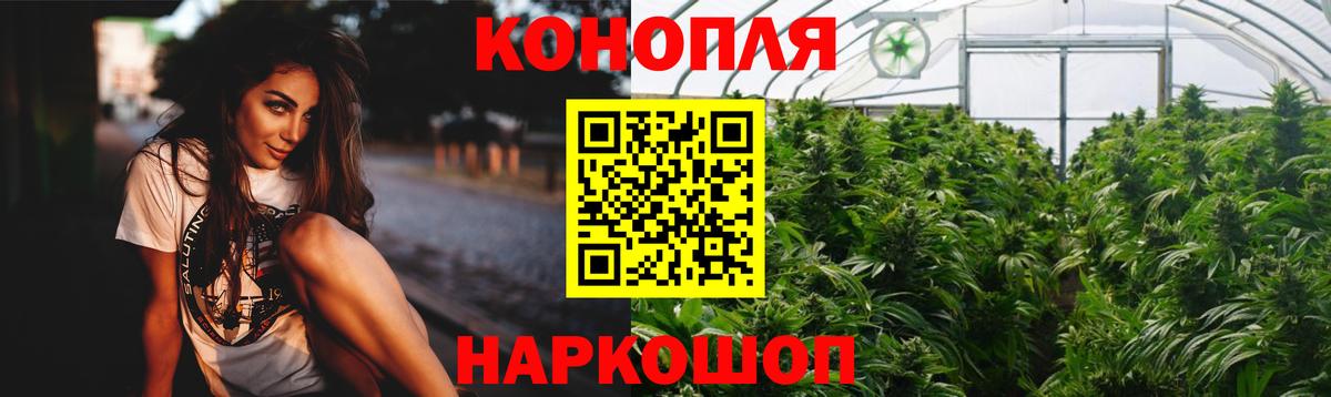 Канабис MAZAR  Канабис сатива  Вход с VPN  Клин 